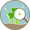 A circular icon featuring a magnifying glass over green grass and clovers, set against a light blue background.